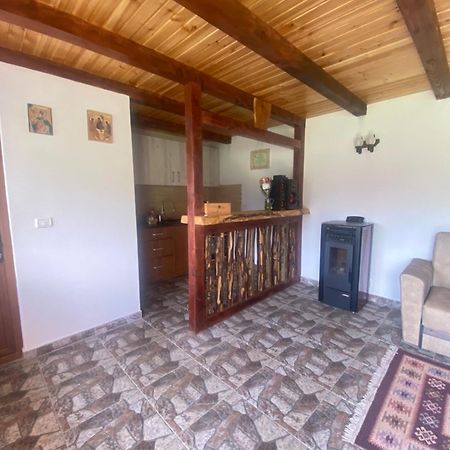 Casa Prundari Nicu Si Mirela Ξενοδοχείο Poiana Teiului Εξωτερικό φωτογραφία