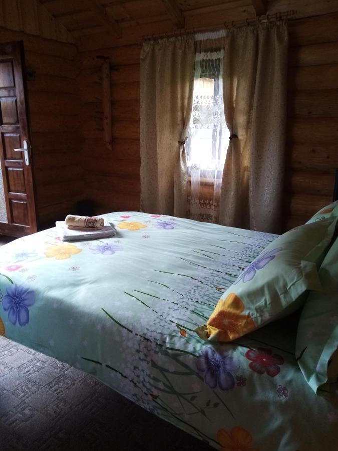 Casa Prundari Nicu Si Mirela Ξενοδοχείο Poiana Teiului Εξωτερικό φωτογραφία