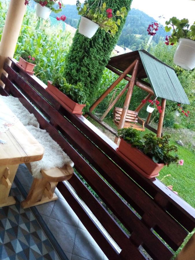 Casa Prundari Nicu Si Mirela Ξενοδοχείο Poiana Teiului Εξωτερικό φωτογραφία