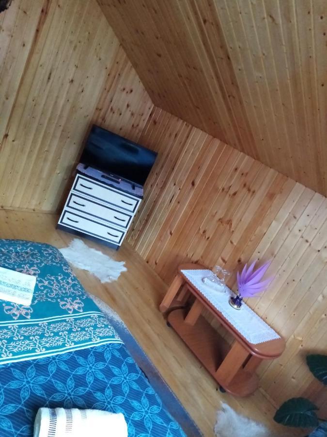 Casa Prundari Nicu Si Mirela Ξενοδοχείο Poiana Teiului Εξωτερικό φωτογραφία