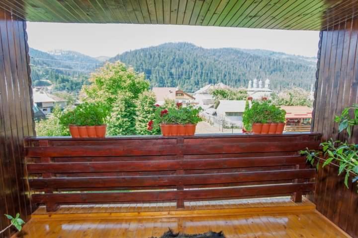 Casa Prundari Nicu Si Mirela Ξενοδοχείο Poiana Teiului Εξωτερικό φωτογραφία