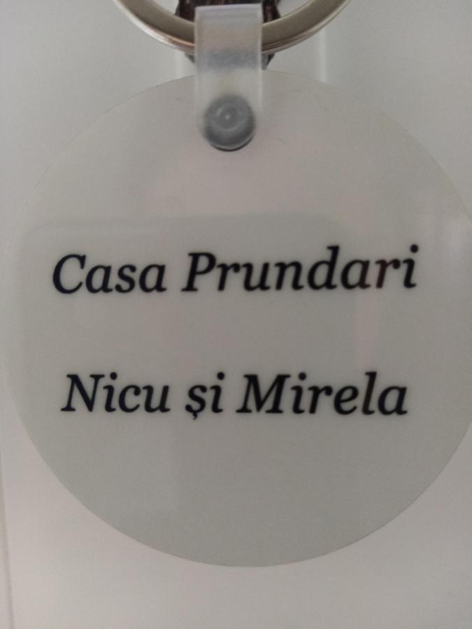 Casa Prundari Nicu Si Mirela Ξενοδοχείο Poiana Teiului Εξωτερικό φωτογραφία