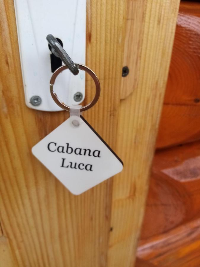 Casa Prundari Nicu Si Mirela Ξενοδοχείο Poiana Teiului Εξωτερικό φωτογραφία