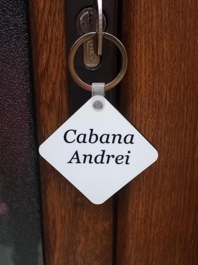 Casa Prundari Nicu Si Mirela Ξενοδοχείο Poiana Teiului Εξωτερικό φωτογραφία