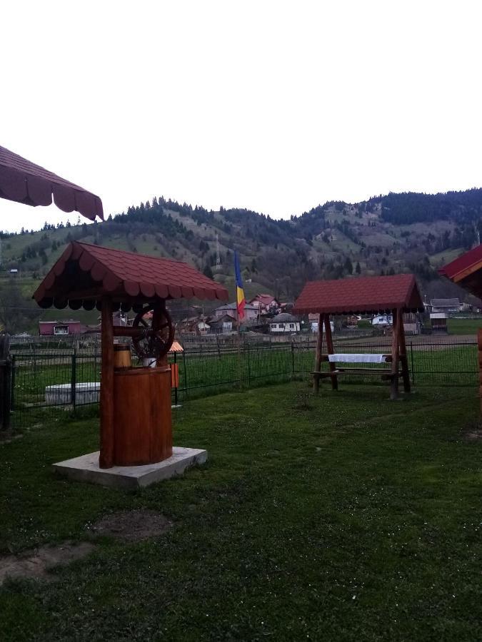 Casa Prundari Nicu Si Mirela Ξενοδοχείο Poiana Teiului Εξωτερικό φωτογραφία