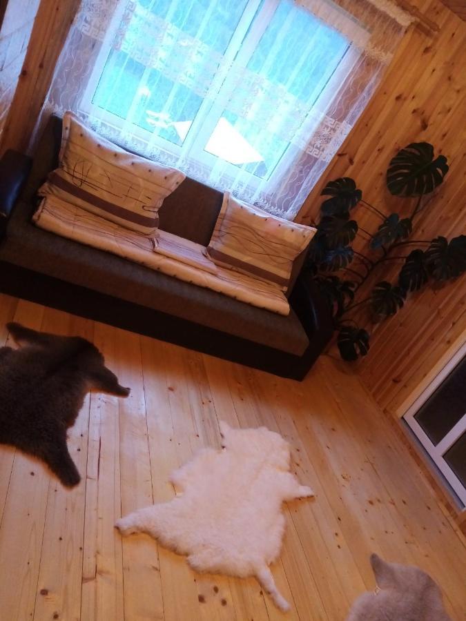 Casa Prundari Nicu Si Mirela Ξενοδοχείο Poiana Teiului Δωμάτιο φωτογραφία