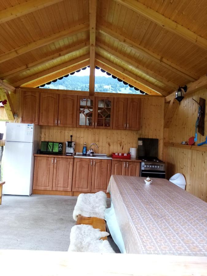 Casa Prundari Nicu Si Mirela Ξενοδοχείο Poiana Teiului Εξωτερικό φωτογραφία