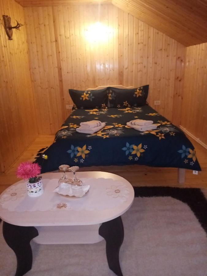Casa Prundari Nicu Si Mirela Ξενοδοχείο Poiana Teiului Εξωτερικό φωτογραφία